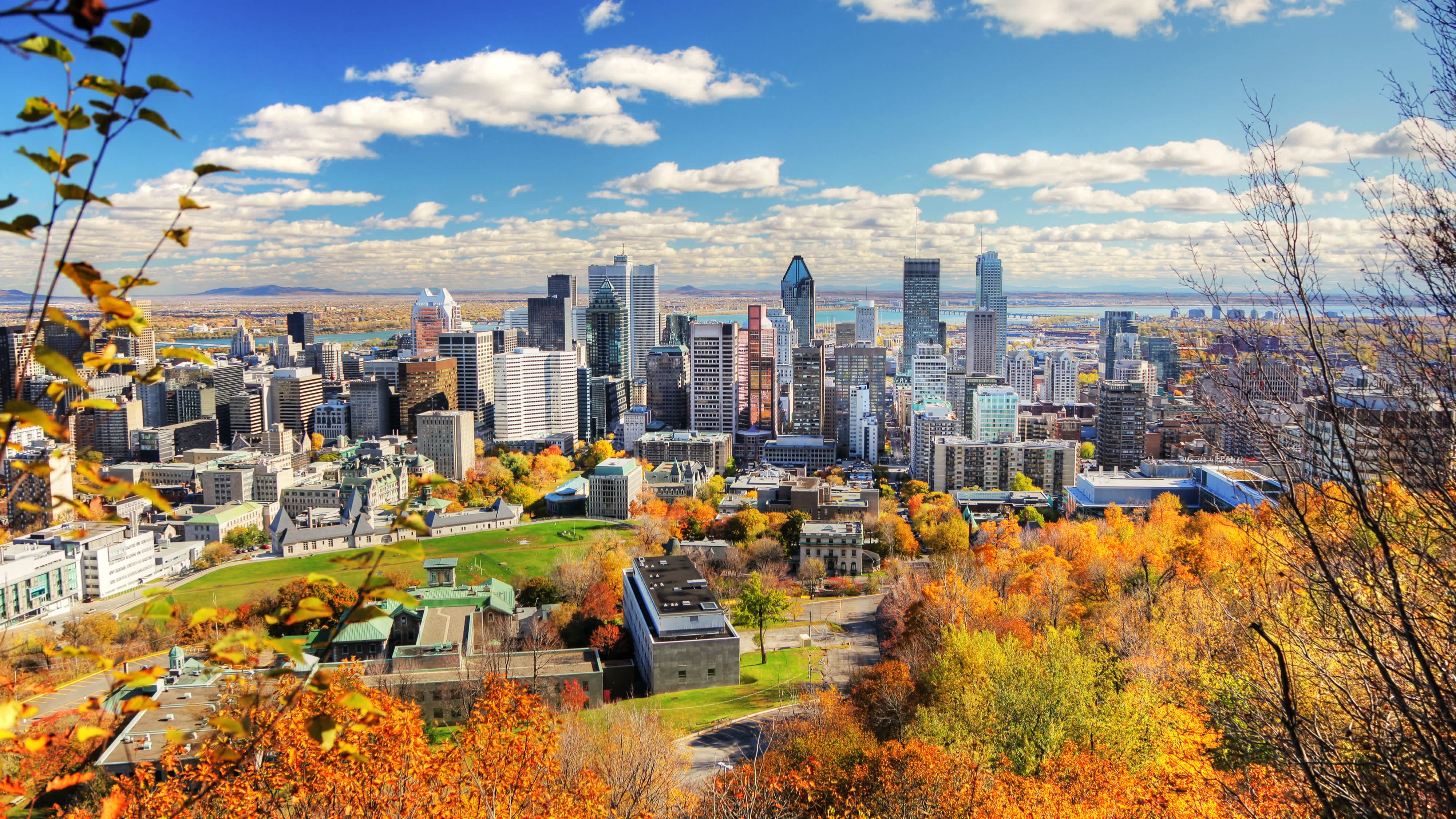 La ligne d'horizon de Montréal en automne