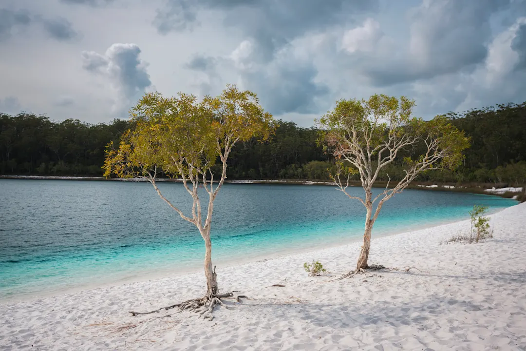 Plage de sable blanc