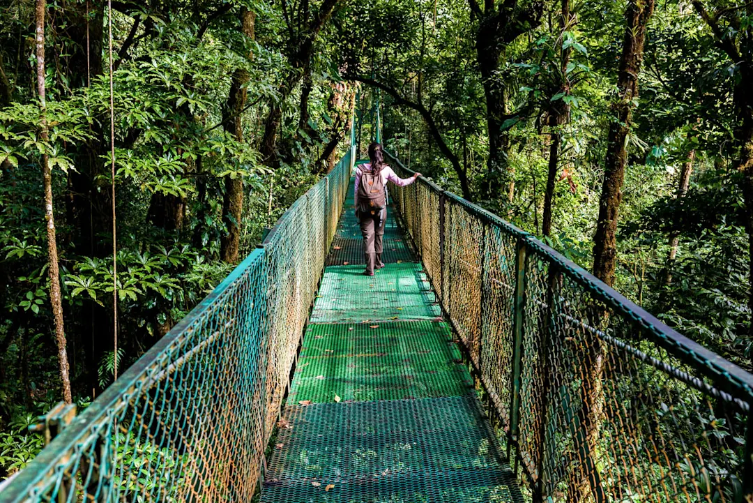 Mädchen, das auf einer Hängebrücke im Nebelwald spaziert – Monteverde