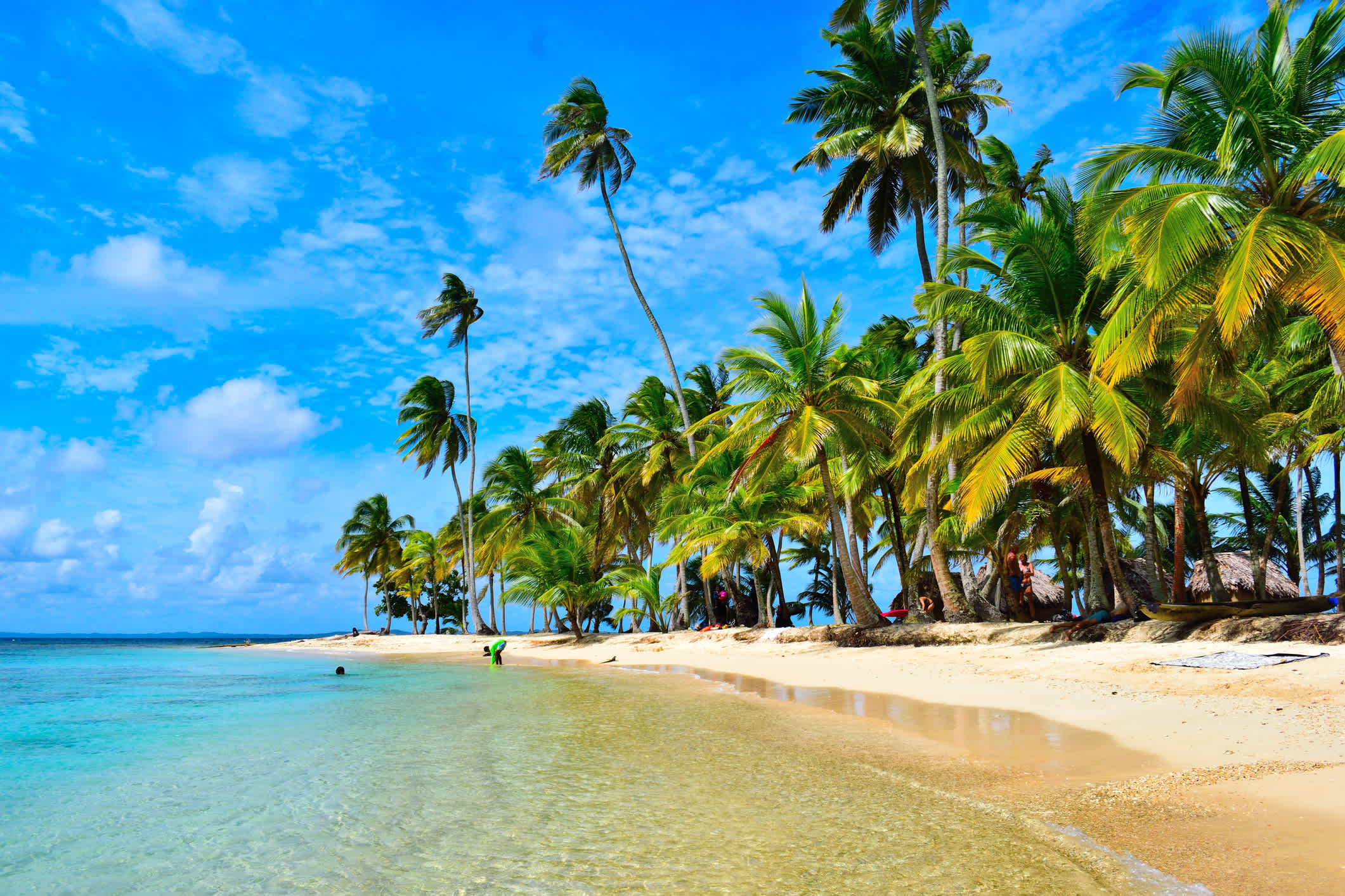 Vue sur une plage bordée de cocotiers, Archipel des San Blas dans la mer des Caraïbes de la République de Panama