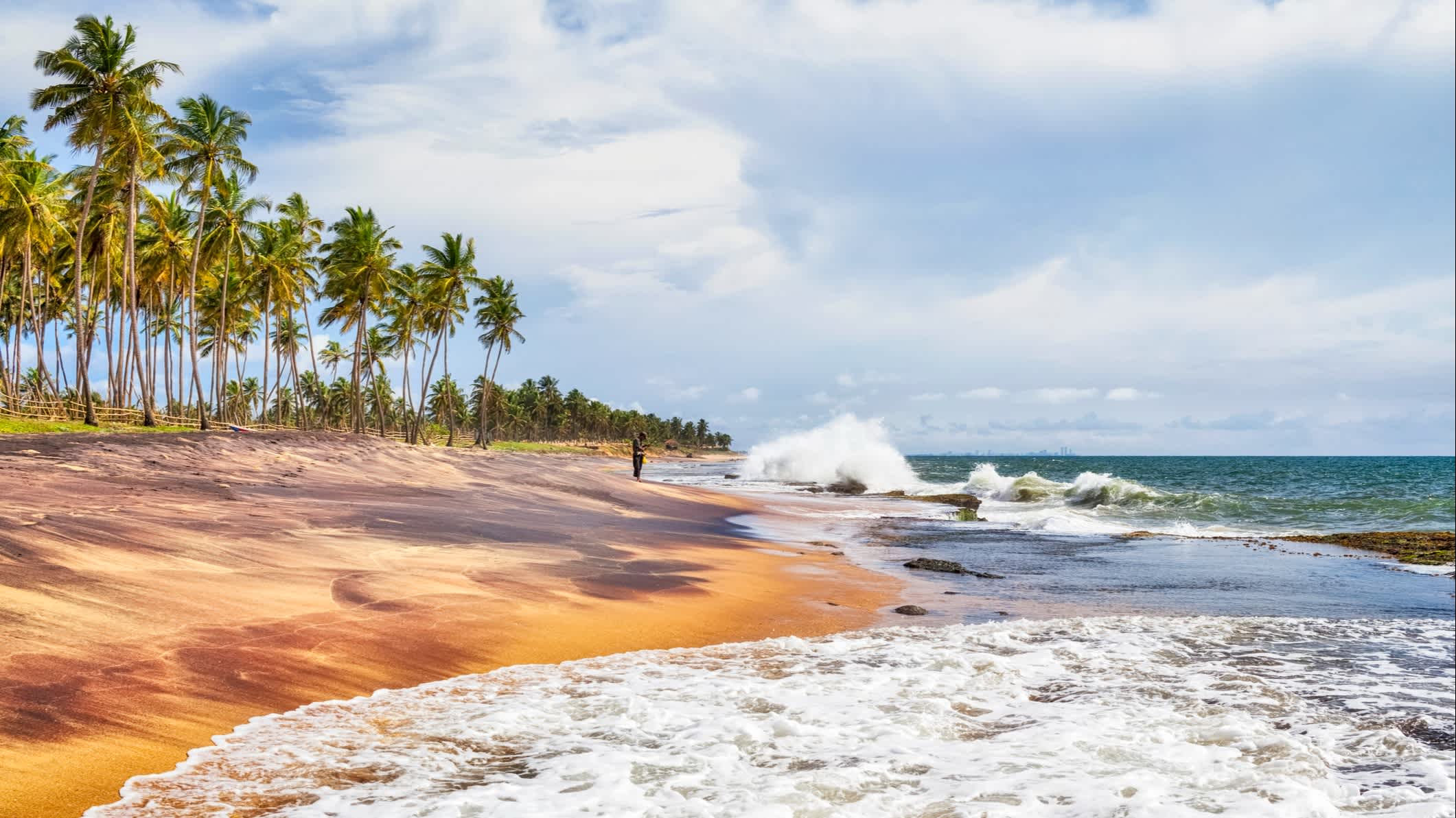 Personne sur le sable entouré de palmiers sur la plage naturelle de Negombo au Sri Lanka

