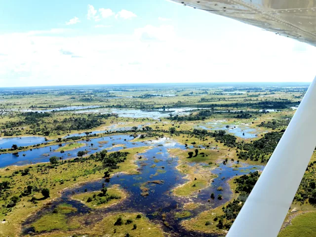 Fly in safari au Botswana