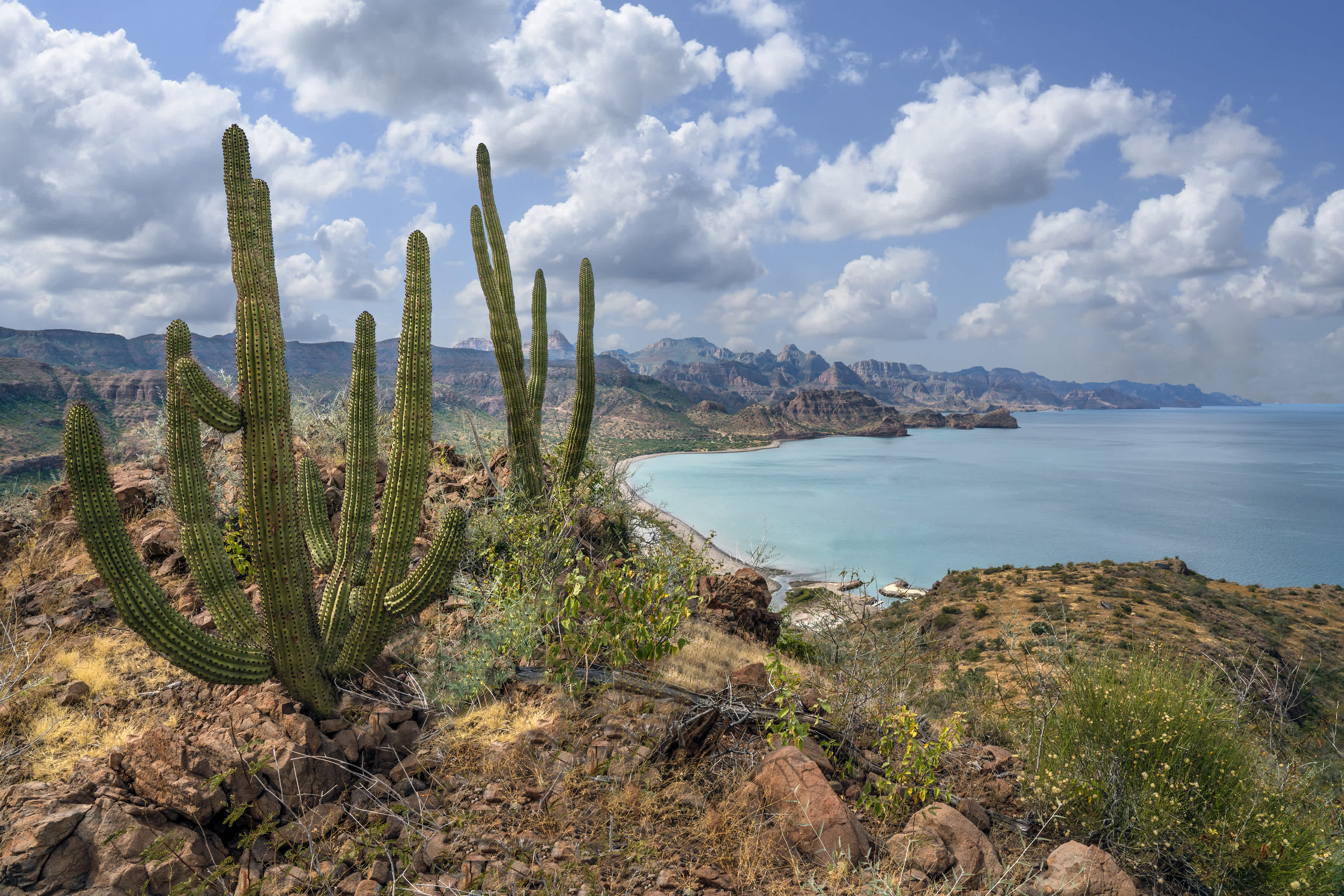 Montagnes côtières situées au sud de Loreto, Mexique