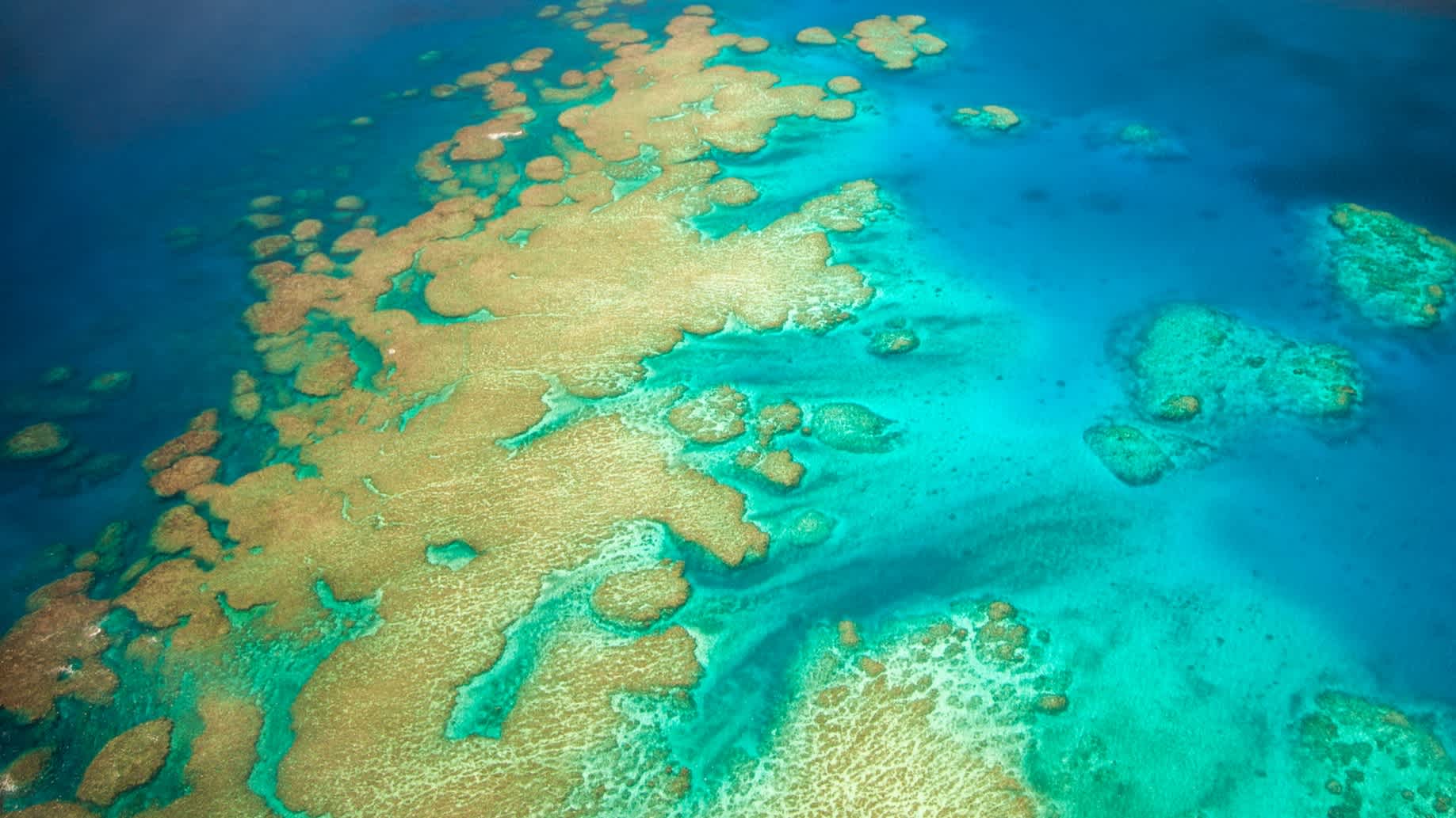 Luftaufnahme des Korallenriffs Great Astrolabe Reef