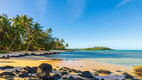 Tropischer Strand mit Palmen, Felsen und türkisfarbenem Wasser unter klarem Himmel, Rarotonga, Cookinseln