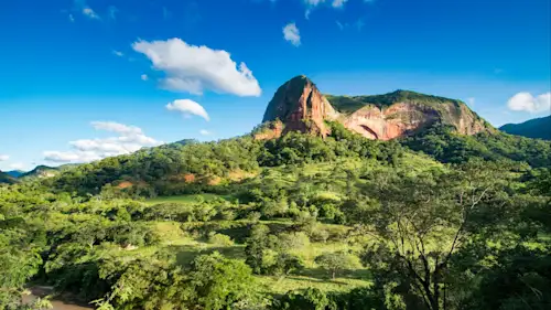 Organisation irréprochable