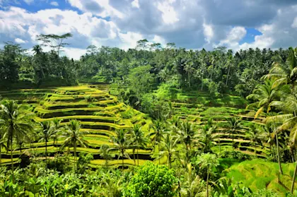 Circuit à Bali sur 10 jours - Image 1