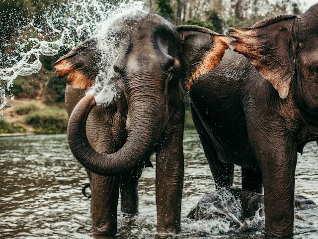 Entdecke Südostasien auf wnderschöner Laos & Thailand Rundreise