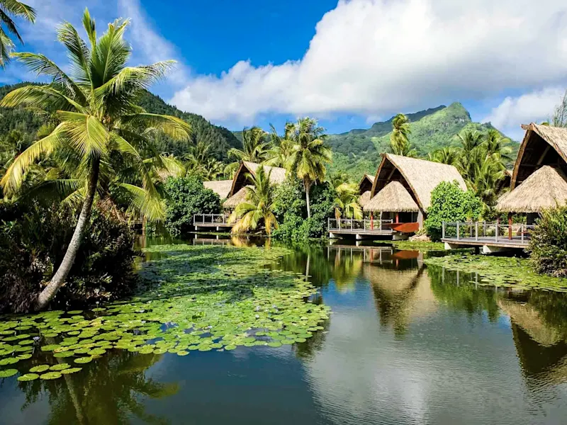 Französisch-Polynesien, Huahine, Fare Strohdach-Bungalows an einer Lagune mit Seerosen. Fare, Huahine, Französisch-Polynesien.