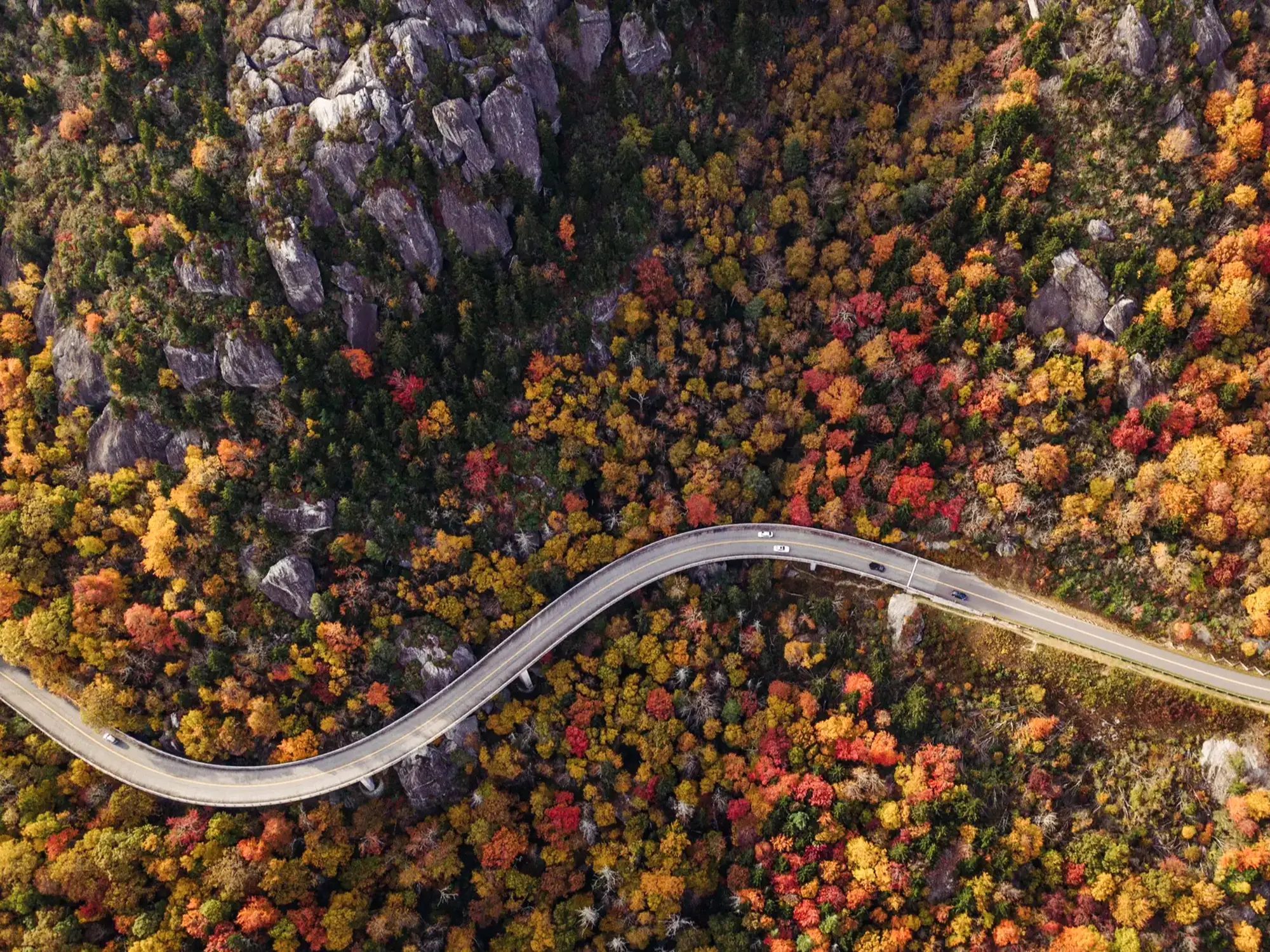 Luftaufnahme der kurvigen Straße durch einen dichten Wald mit Herbstfarben, USA.
