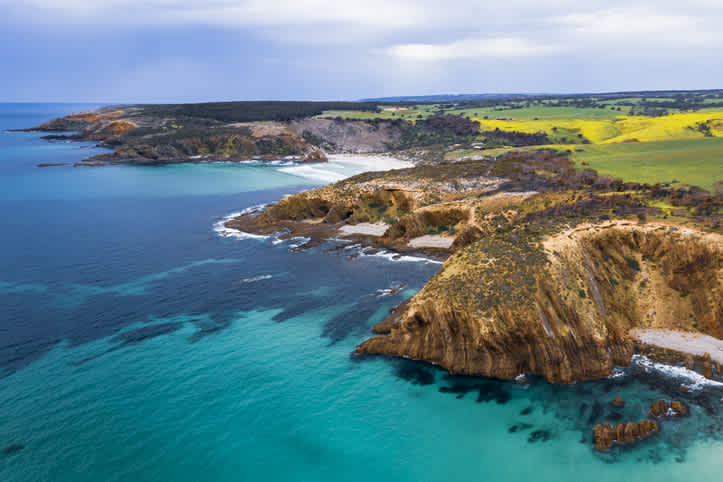 Visitez la célèbre Kangaroo Island pendant votre voyage en Australie.