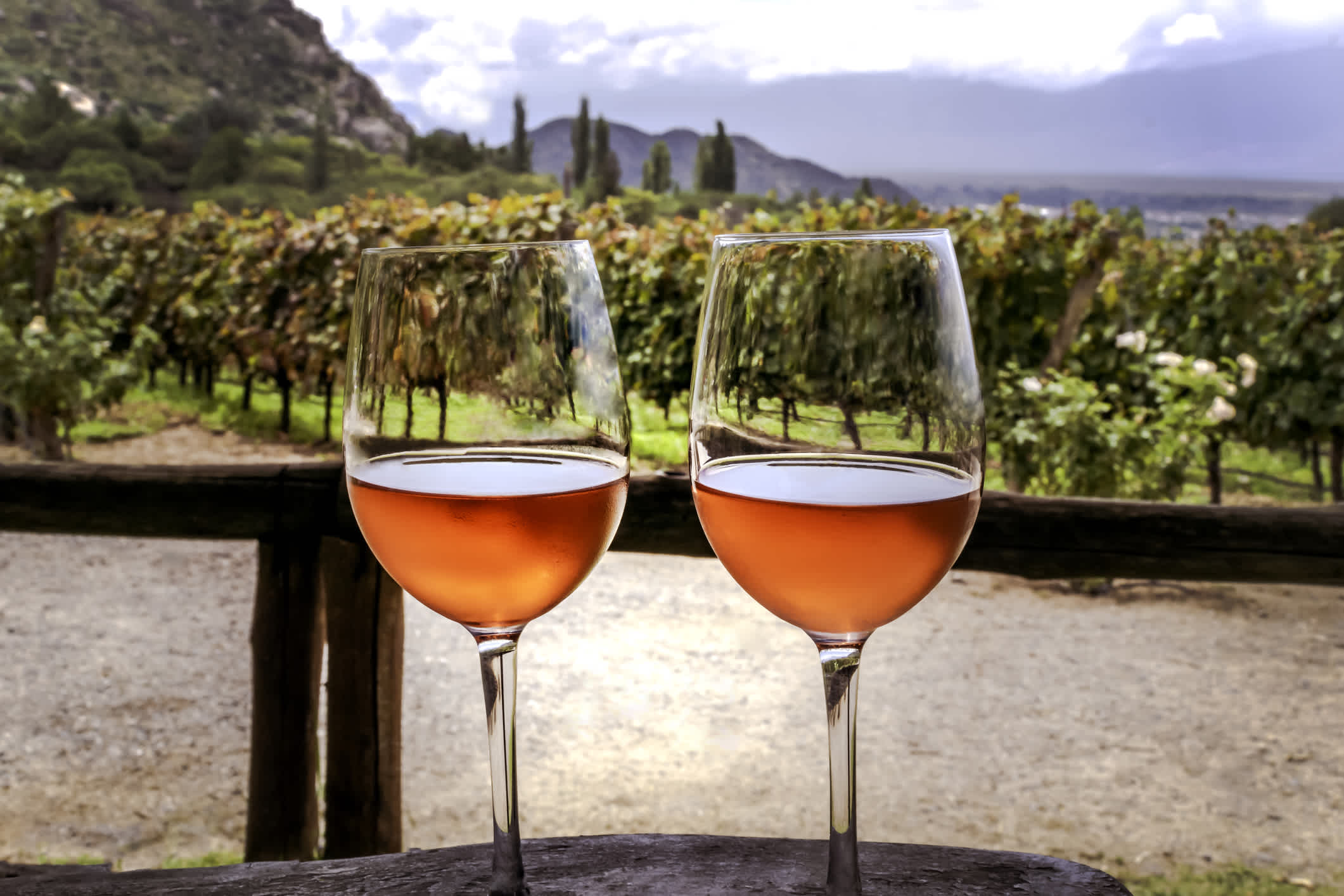 Deux verres de vin de rose avec un vignoble en arrière-plan, Cafayate, Salta, Argentine.
