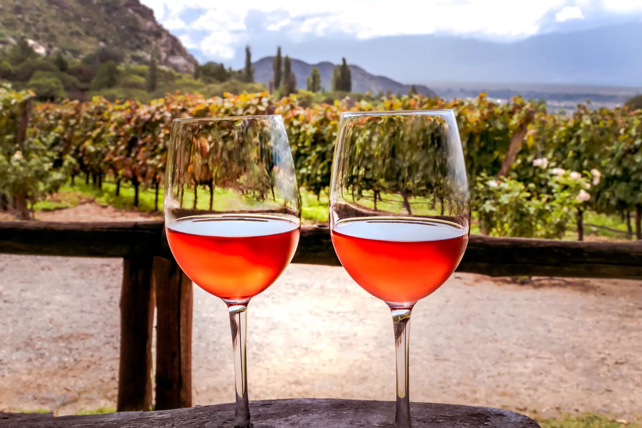 Argentinien, Cafayate Zwei Gläser Rosenwein mit Weinberg im Hintergrund, Cafayate, Salta, Argentinien.