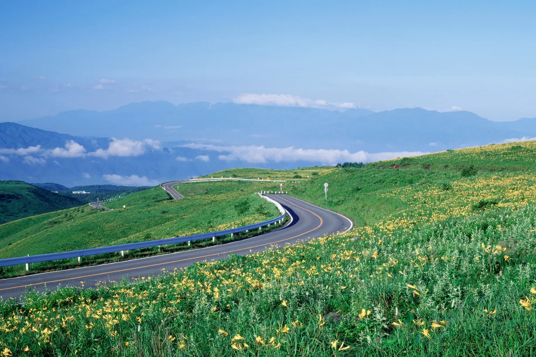 Japan, Venuslinie Straße, die sich einen Berg hinaufschlängelt mit Wildblumen im Vordergrund