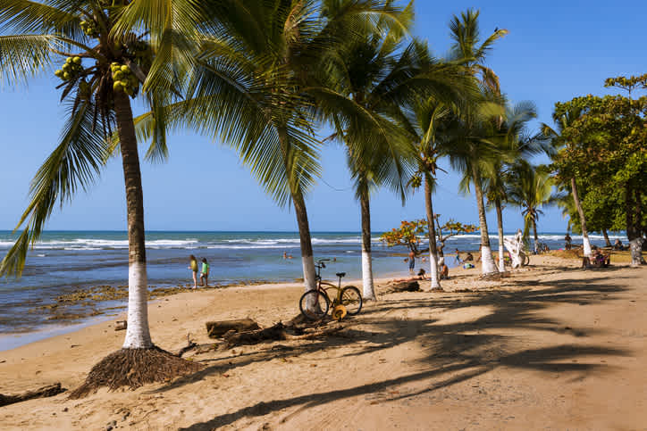 Personnes sur la plage bordée de palmiers de Puerto Viejo de Talamanca au Costa Rica