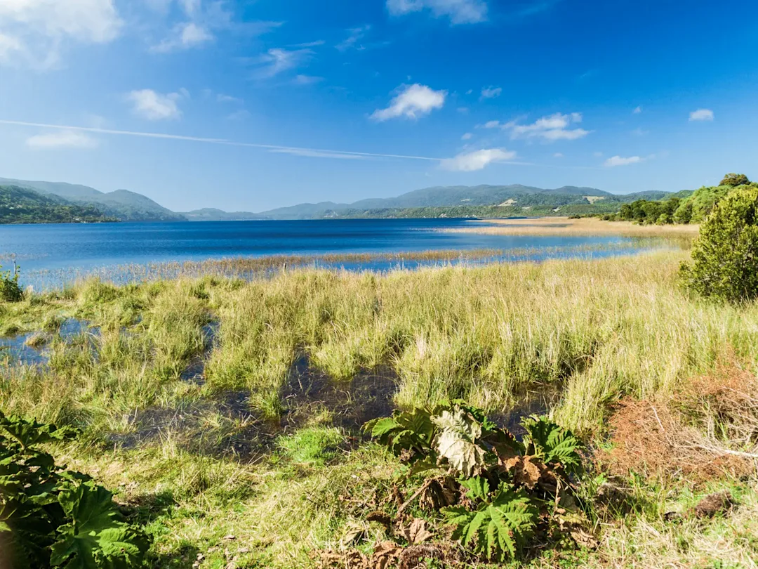 Voyage à Chiloé : découverte de l'île