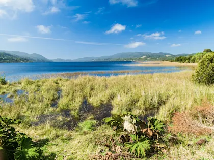 Voyage à Chiloé : découverte de l'île - Image 1