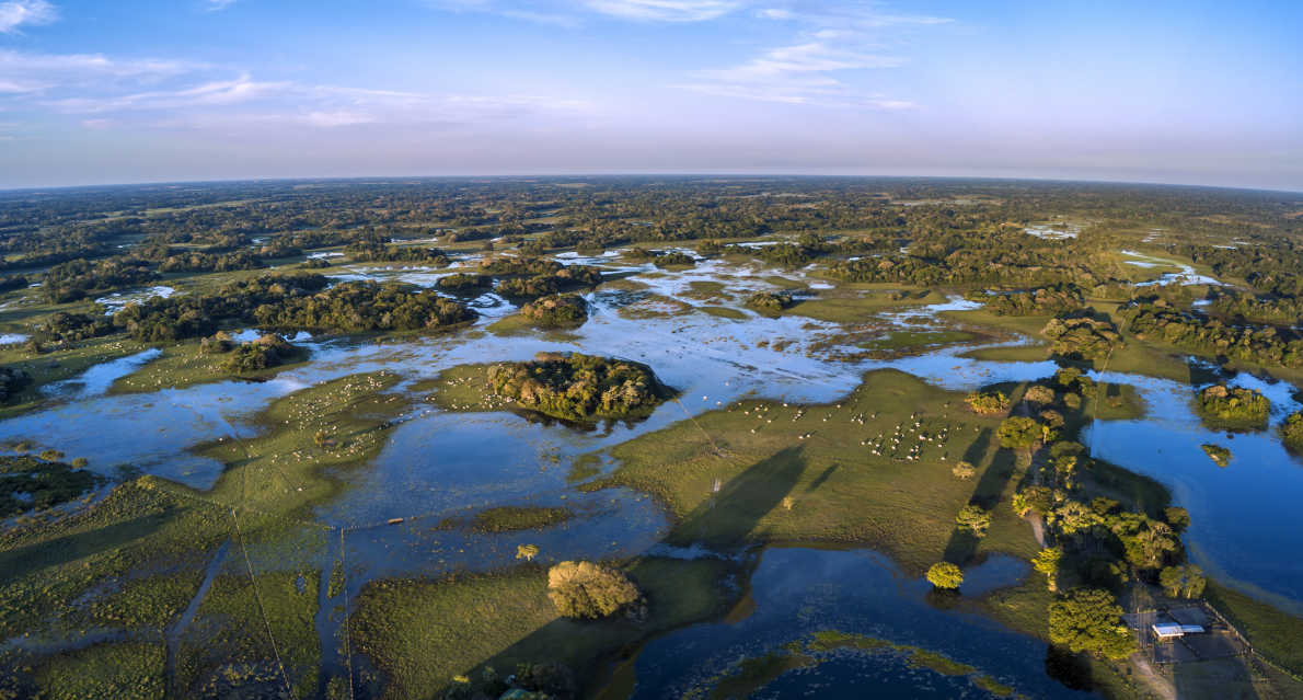 Vue aérienne sur la région du Pantanal photographié à Corumbá, Mato Grosso do Sul. BIOM Pantanal, Brésil