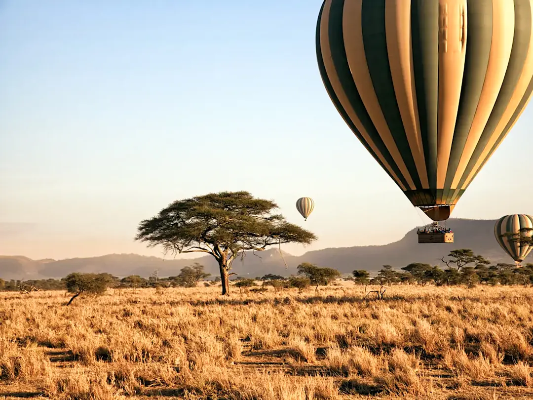 Heißluftballons über der goldenen Savanne in der Serengeti. Serengeti, Tansania.