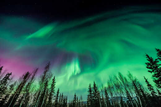 Aurores boréales au-dessus de Fairbanks, en Alaska
