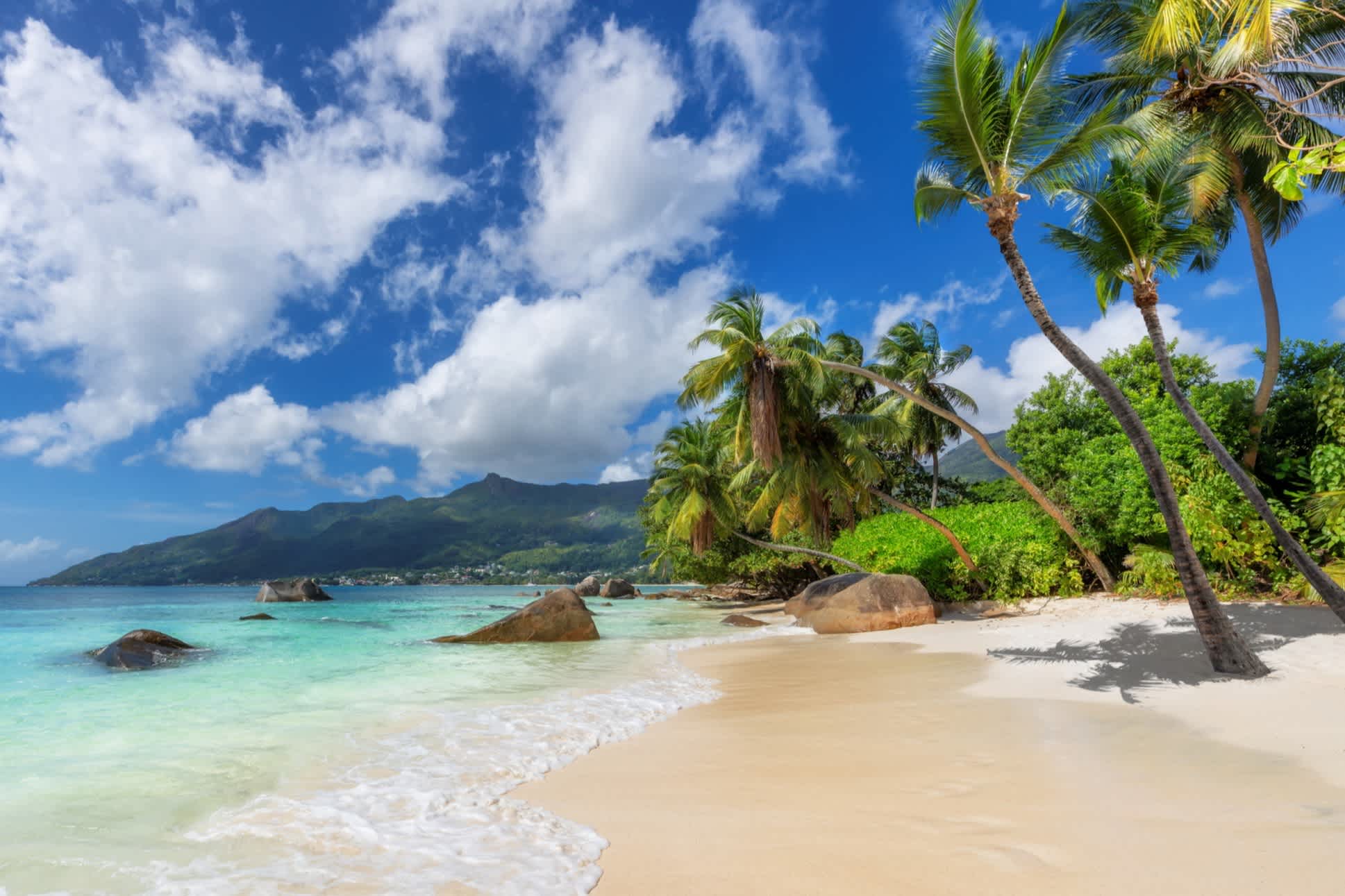 Exotischer Sonnenstrand und Kokospalmen auf der Insel Mahé, Seychellen. 
