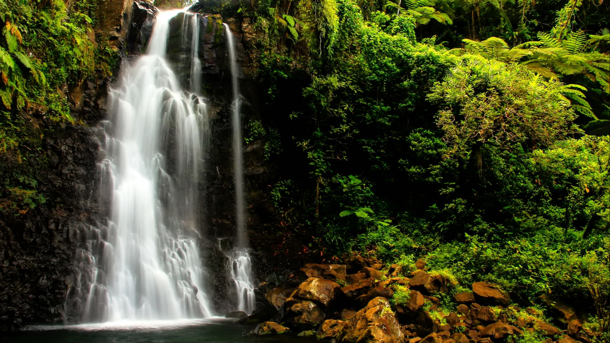 Wasserfall umgeben von üppiger Vegetation