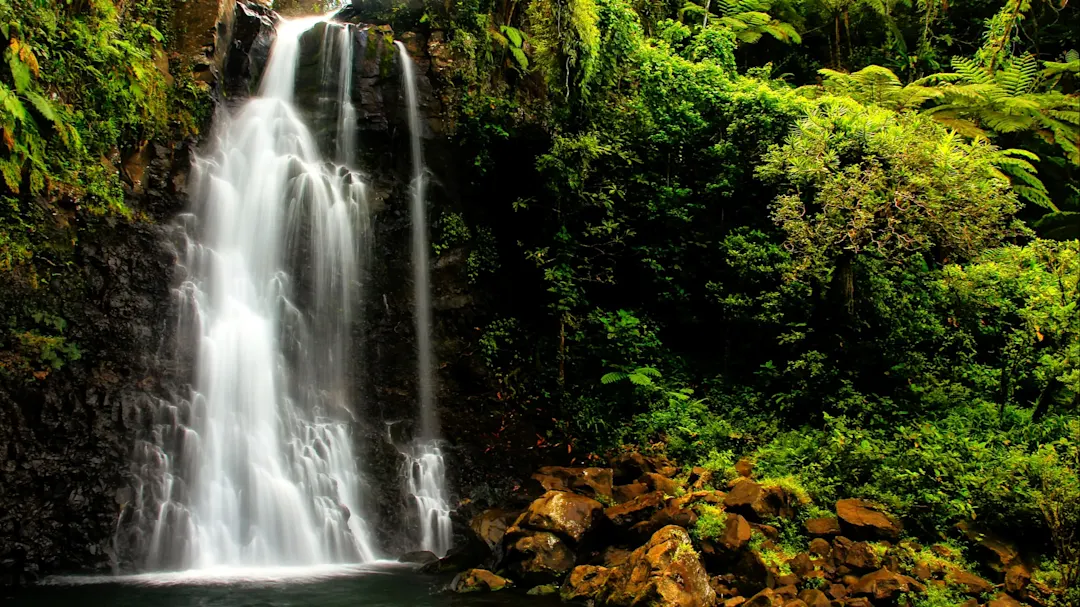 Wasserfall, Bouma National Heritage Park, Taveuni Wasserfall umgeben von üppiger Vegetation