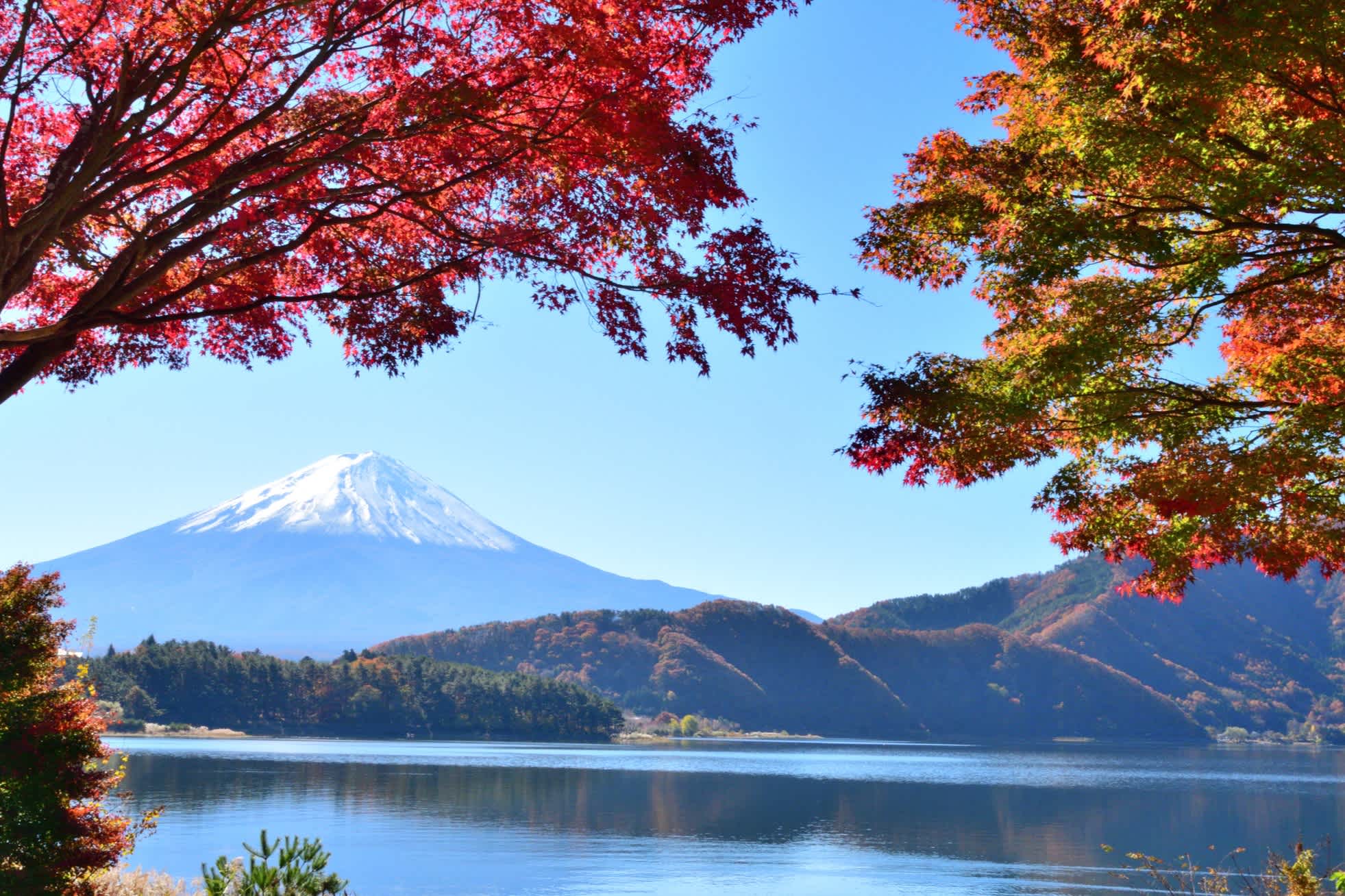 Berg Fuji im Hintergrund, See und Bäume mit bunten Blättern im Vordergrund