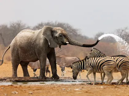 Circuit en Namibie 15 jours - Image 1