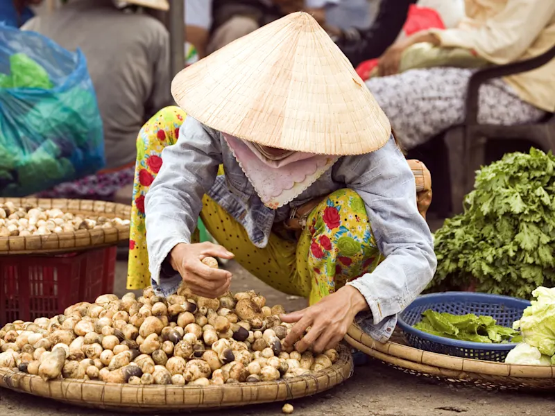 Ho-Chi-Minh-Stadt, Vietnam Marktfrau mit Non La sortiert frische Pilze auf einem Markt. Ho-Chi-Minh-Stadt, Vietnam.