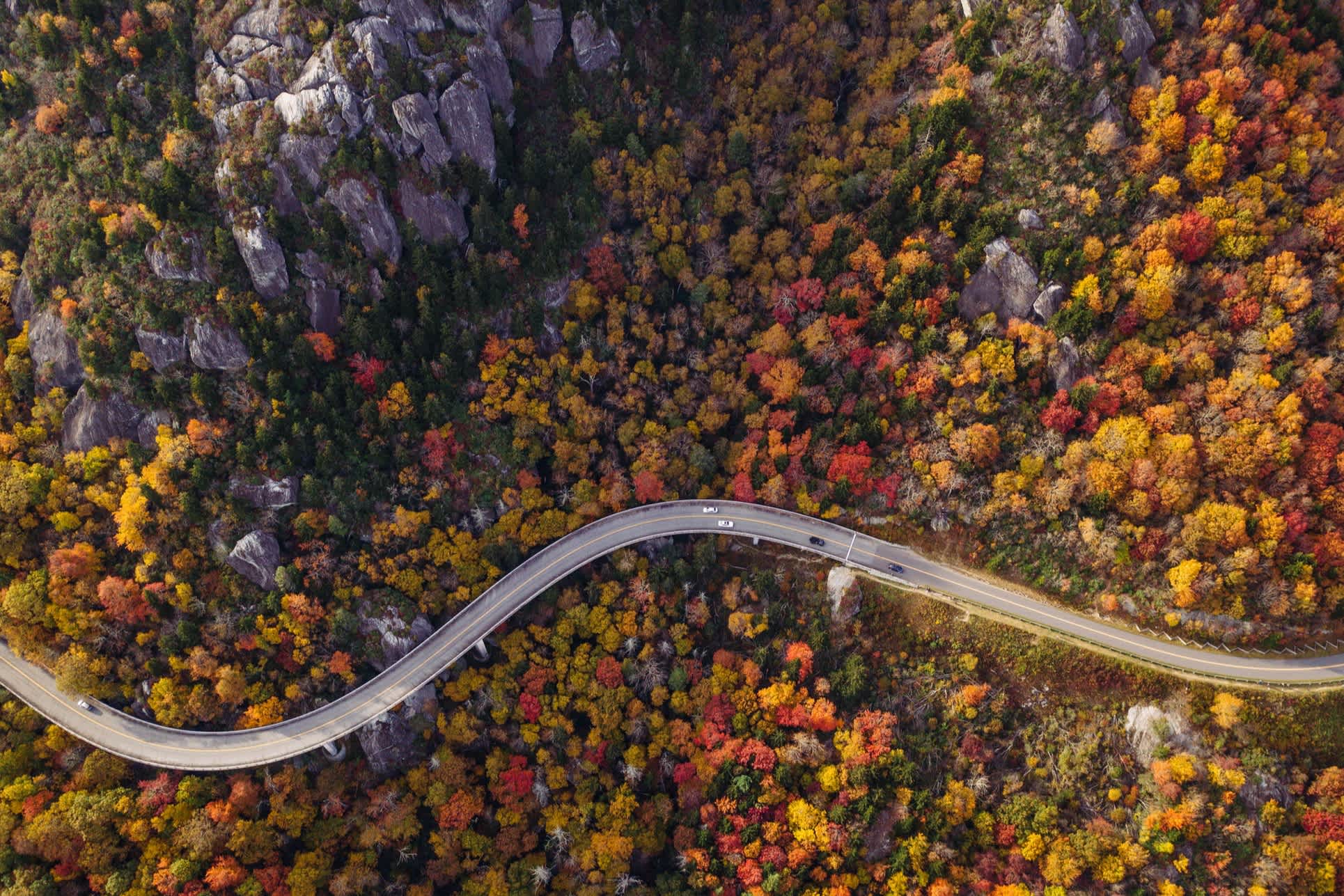 Route sinueuse avec des arbres avec des feuilles aux couleurs automnales