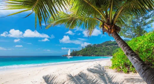 Plage de sable blanc avec des palmiers et un voilier dans la mer turquoise sur une île magnifique. 