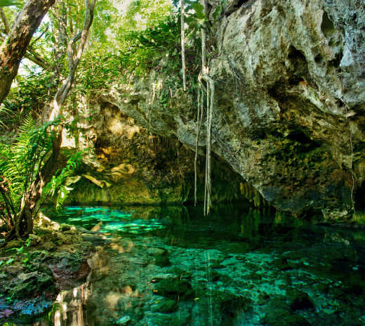 Die Gran Cenote ist eine der schönsten Kalksteinhöhlen in Mexiko.