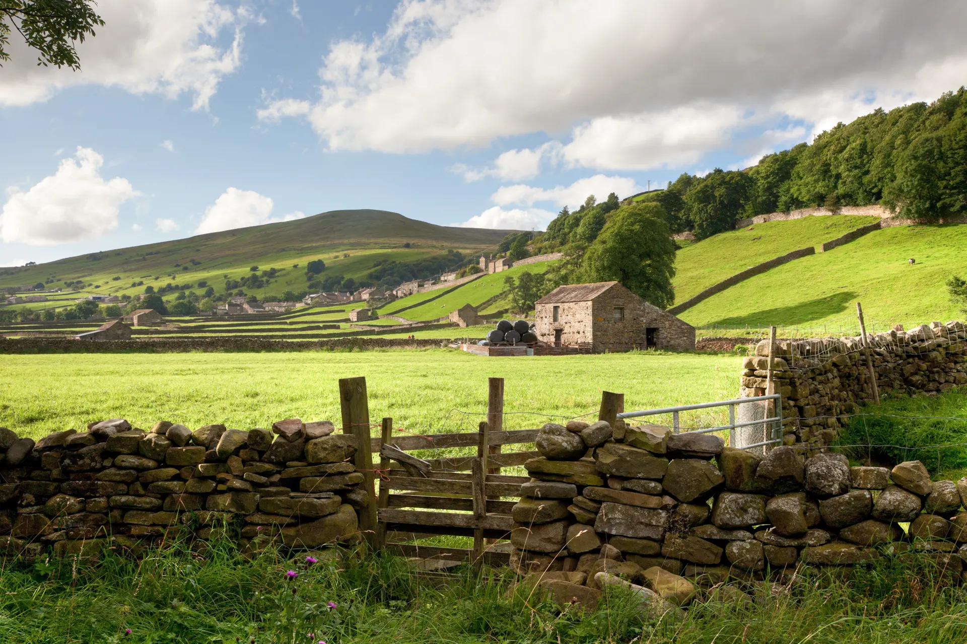 Blick über eine Steinmauer in Richtung des Swaledale-Dorfes Gunnerside. Die Yorkshire Dales, England.

