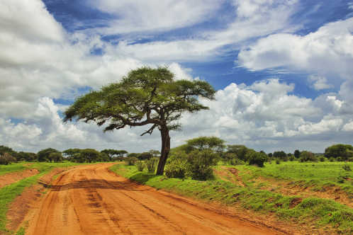 Landschaftsbild aus dem Nationalpark Tsavo West in Kenia.

