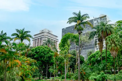 Voyage Argentine et Brésil - Image 1