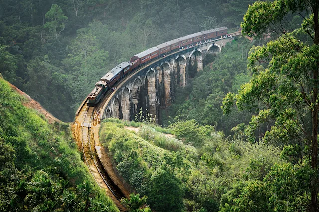 Entdeckungsreise Sri Lanka: 1 Woche Abenteuer 