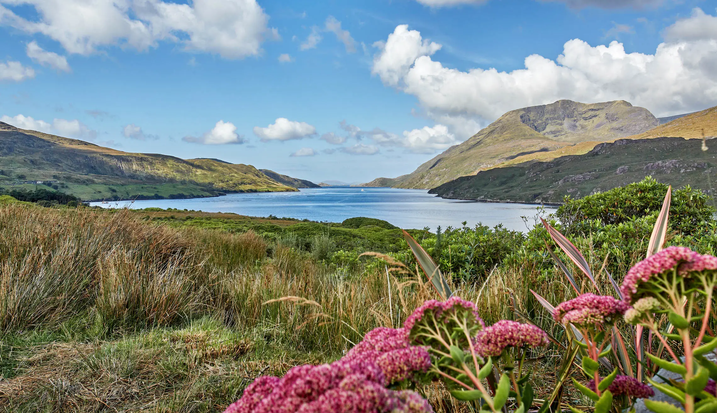 Ireland, Connemara, Killary Fjord landscape of the harbor of Killary, Connemara, Ireland.