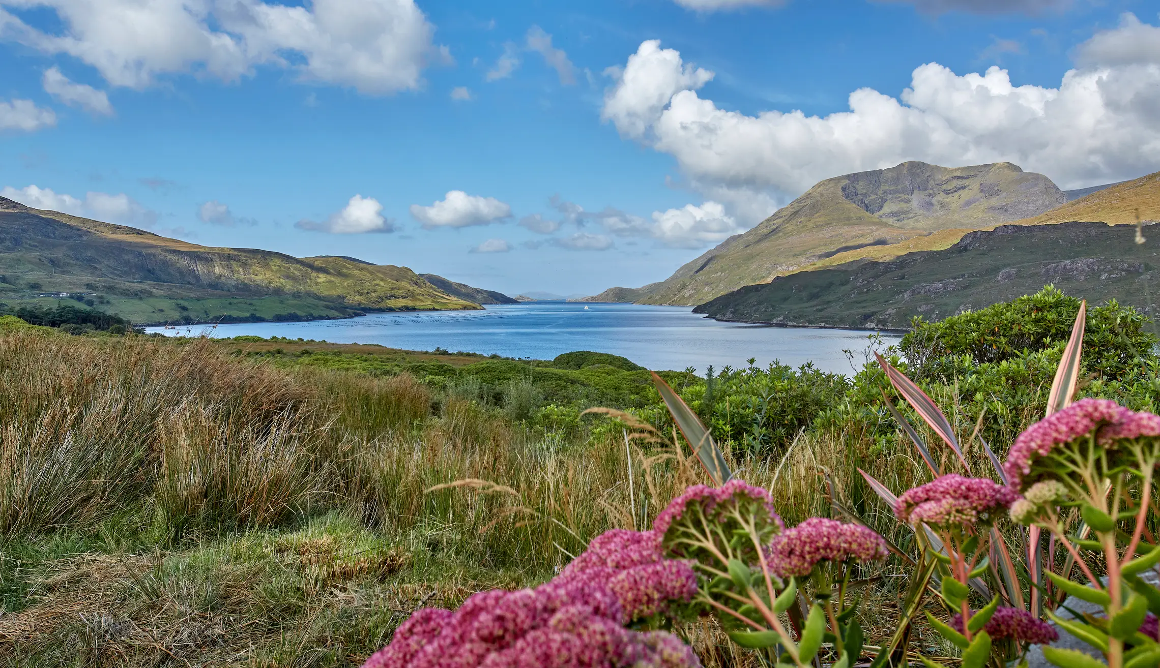 Fjordlandschaft des Hafens von Killary, Connemara, Irland.