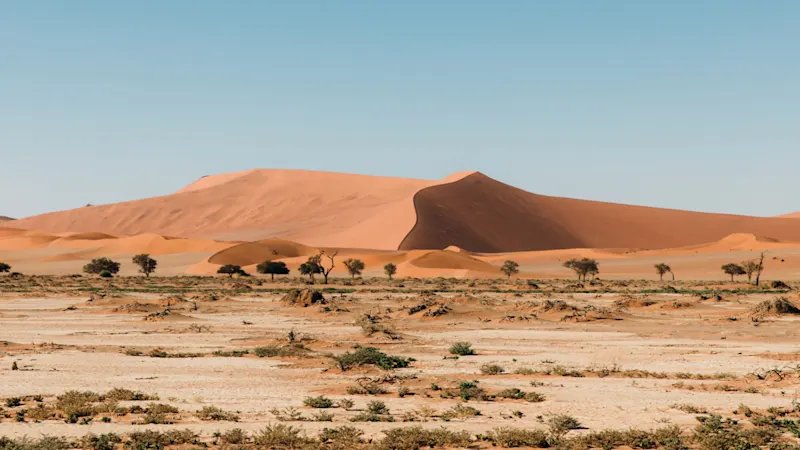 Kalahari, Sanddünen, Namibia Orangefarbene Sanddünen in der Wüstenlandschaft unter blauem Himmel. Kalahari, Kalahari, Namibia.