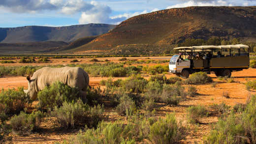 Vacanciers pendant un safari en Afrique du Sud en train d'observer un rhinocéros.