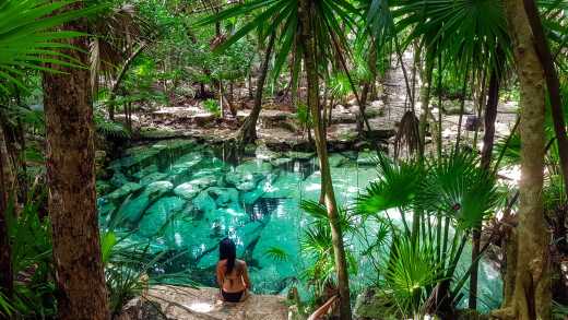 Grünes Paradies Cenote Azul mit Palmen und Ruinen auf dem Grund des Wassers in der Riviera Maya, Halbinsel Yucatan