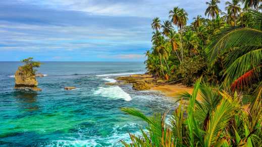 Wilder karibischer Strand in Costa Rica