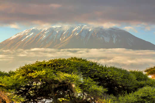 Vue du sommet du Mont Kilimandjaro en Tanzanie, Afrique.