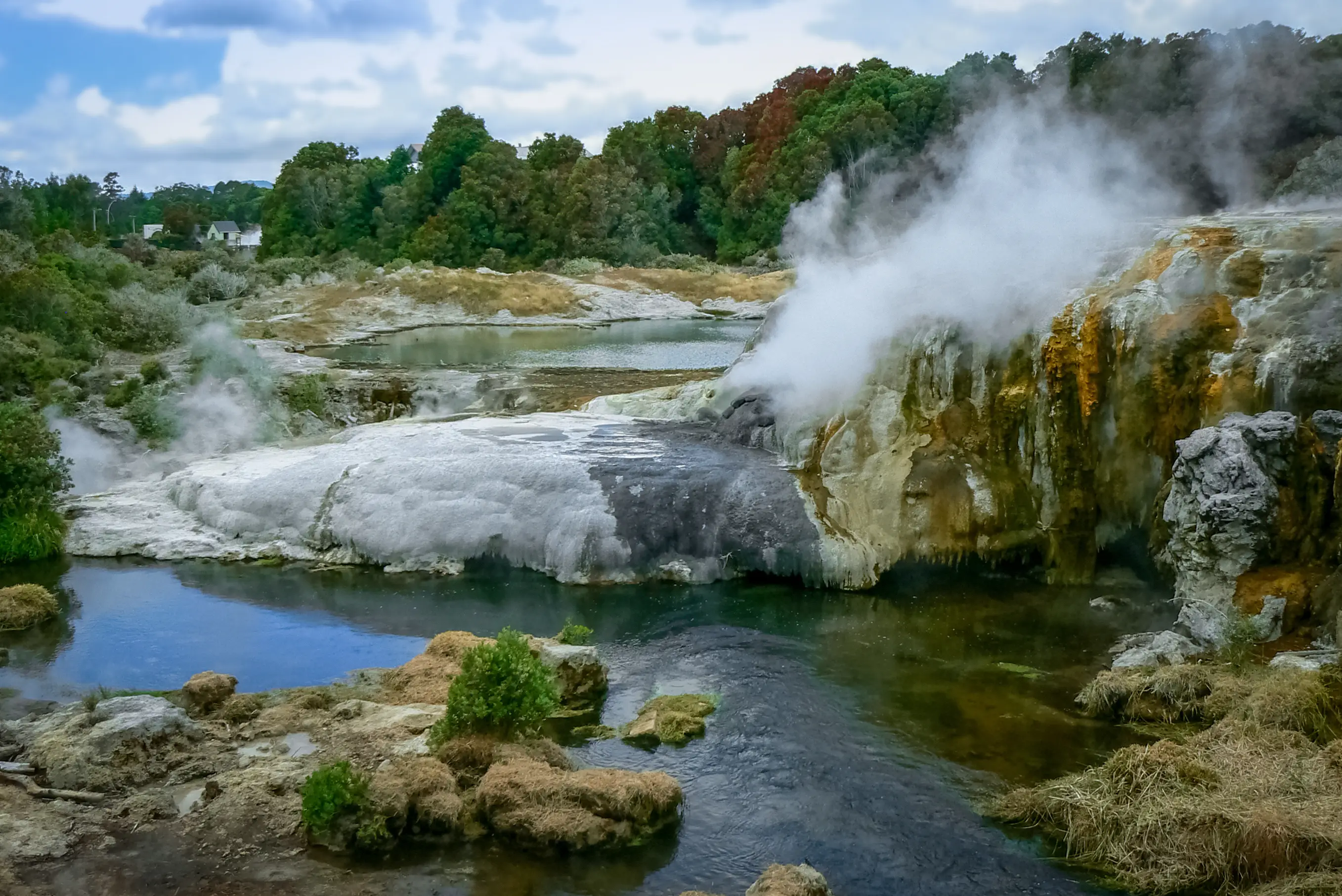 Neuseeland, Rotorua, Te Puia Heiße Quellen im Geothermiegebiet Te Puia, Rotorua, Neuseeland