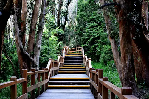 Wohlfühlreise durch Argentinien