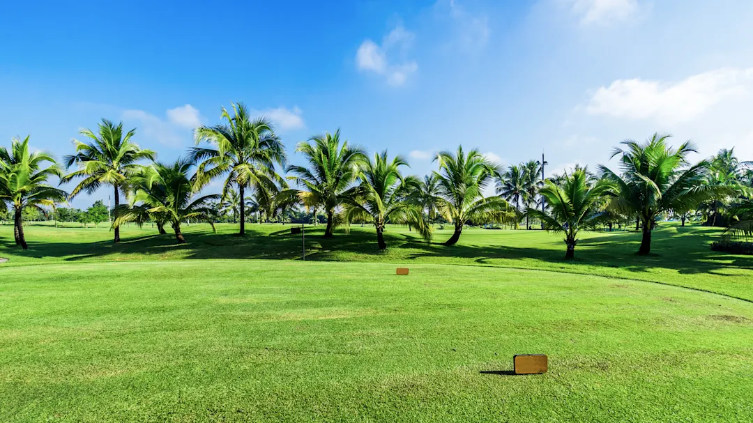 Golfplatz mit Palmen unter blauem Himmel. Thailand, Norden, Thailand.