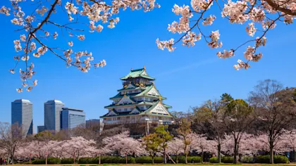 Circuit de 10 jours au Japon - Image 1