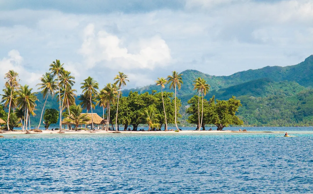 Palmen auf einer Insel mit dem Meer im Vordergrund, in der Nähe von Raiatea, Polynesien