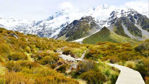 Sentier de randonné en bois vers le glacier du parc national du Mont Cook, île du Sud, Nouvelle-Zélande